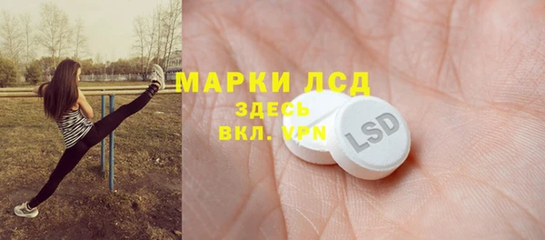 шишки Абаза