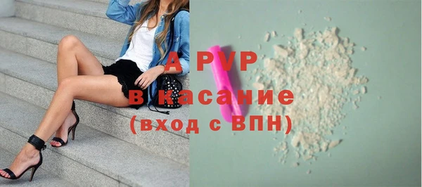 шишки Абаза