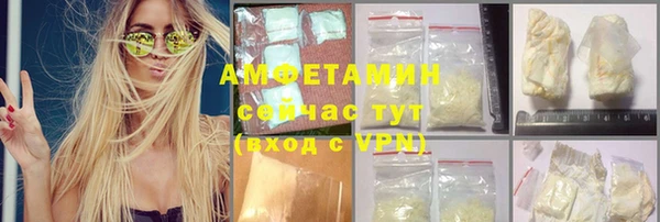 шишки Абаза