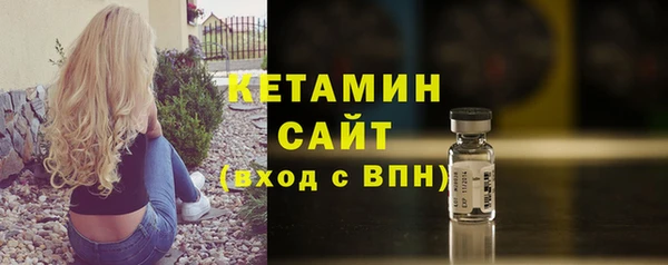 шишки Абаза