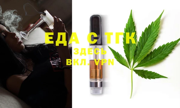 шишки Новодвинск