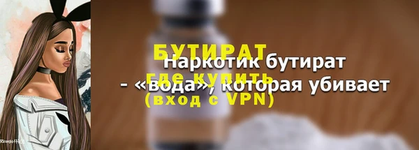 шишки Новодвинск