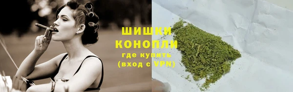 шишки Абаза