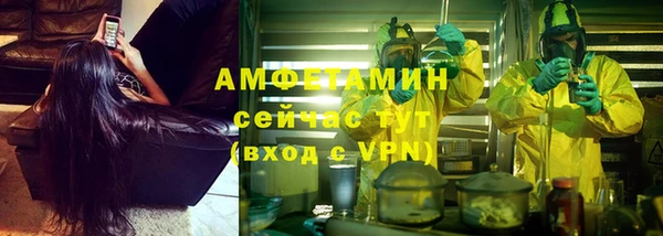 шишки Абаза
