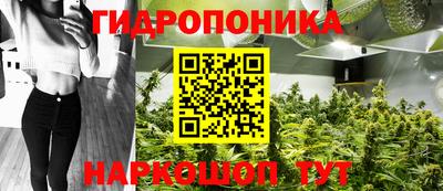 МДПВ Кингисепп