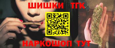 МДПВ Кингисепп