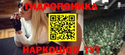 МДПВ Кингисепп