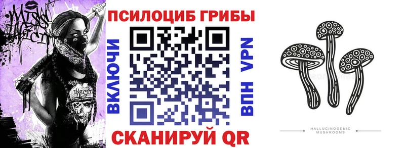 как найти закладки  Саранск  Псилоцибиновые грибы Psilocybe 