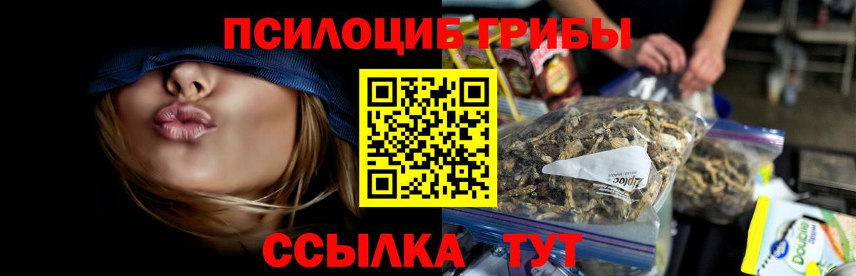Псилоцибиновые грибы мухоморы  Вход с VPN  наркошоп  Саранск 